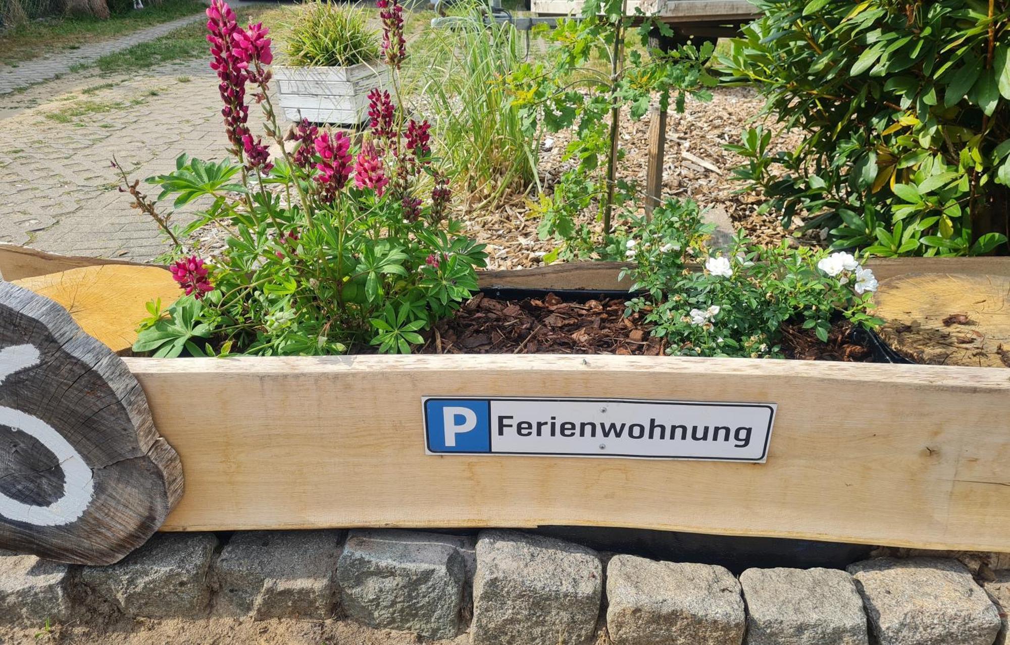 Ferienwohnung Im Winkel Hanstedt ภายนอก รูปภาพ